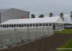 In de tent binnen hapjes en drankjes, buiten gaaskooien op het demoveld …